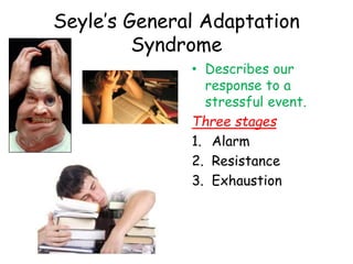 Seyle’s General Adaptation
Syndrome
• Describes our
response to a
stressful event.
Three stages
1. Alarm
2. Resistance
3. Exhaustion
 