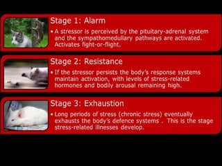 Ch. 12: Human Emotions & Stress