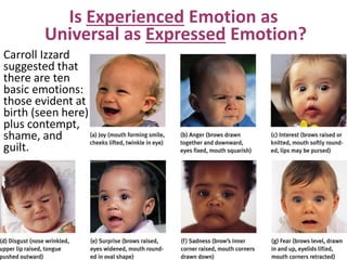 Carroll Izzard
suggested that
there are ten
basic emotions:
those evident at
birth (seen here)
plus contempt,
shame, and
guilt.
Is Experienced Emotion as
Universal as Expressed Emotion?
6
 