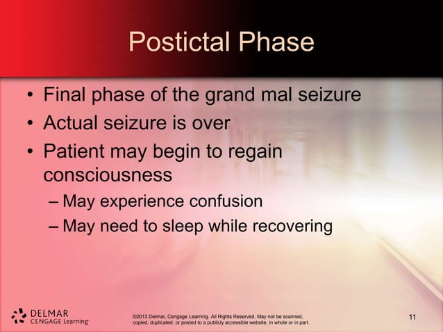 Chapter 5- Seizure Disorders | PPT