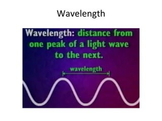 Wavelength 
