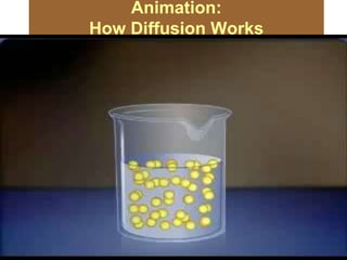 Animation:
How Diffusion Works
16
 
