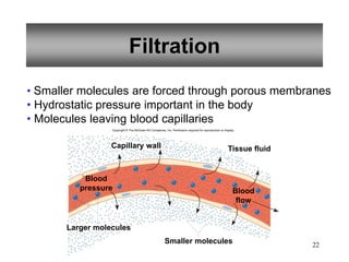 22
Filtration
• Smaller molecules are forced through porous membranes
• Hydrostatic pressure important in the body
• Molecules leaving blood capillaries
Copyright © The McGraw-Hill Companies, Inc. Permission required for reproduction or display.
Capillary wall
Larger molecules
Smaller molecules
Blood
pressure Blood
flow
Tissue fluid
 