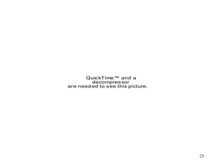 25
QuickTime™ and a
decompressor
are needed to see this picture.
 