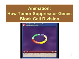 39
Animation:
How Tumor Suppressor Genes
Block Cell Division
Please note that due to differing
operating systems, some animations
will not appear until the presentation is
viewed in Presentation Mode (Slide
Show view). You may see blank slides
in the “Normal” or “Slide Sorter” views.
All animations will appear after viewing
in Presentation Mode and playing each
animation. Most animations will require
the latest version of the Flash Player,
which is available at
http://get.adobe.com/flashplayer.
 
