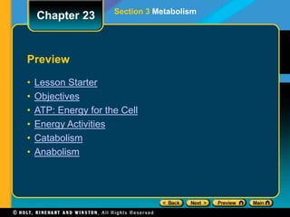 Preview
• Lesson Starter
• Objectives
• ATP: Energy for the Cell
• Energy Activities
• Catabolism
• Anabolism
Chapter 23 Section 3 Metabolism
 
