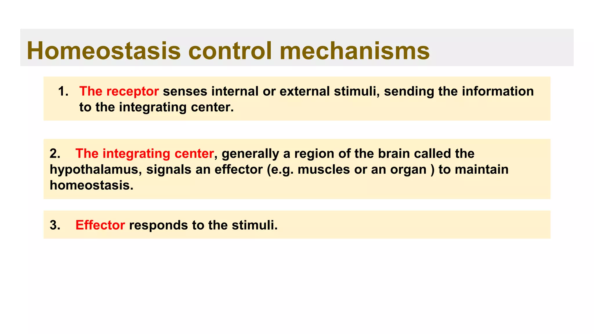 Homeostasis control mechanisms
1. The receptor senses internal or external stimuli, sending the information
to the integrating center.
2. The integrating center, generally a region of the brain called the
hypothalamus, signals an effector (e.g. muscles or an organ ) to maintain
homeostasis.
3. Effector responds to the stimuli.
 