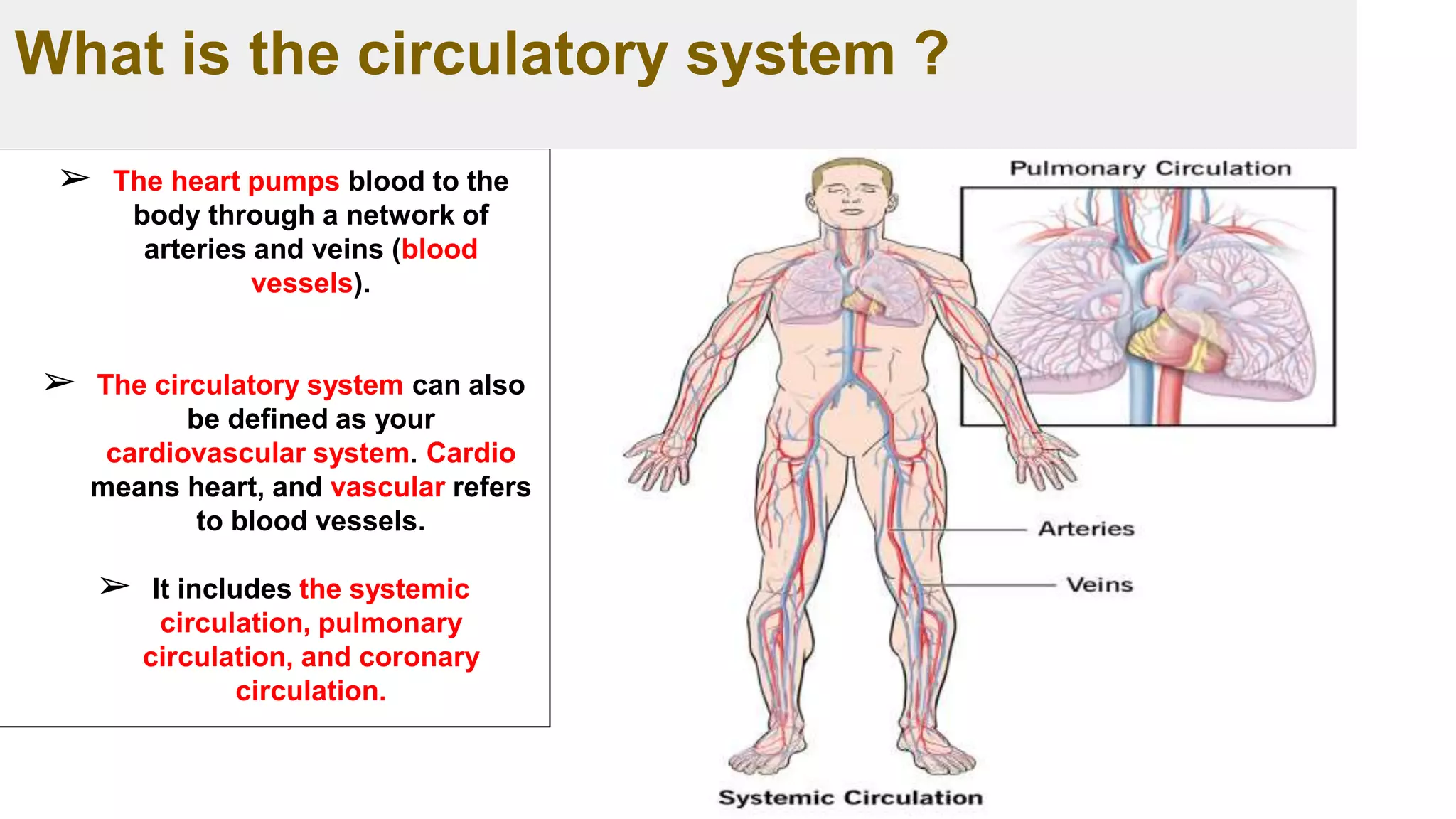➢ The heart pumps blood to the
body through a network of
arteries and veins (blood
vessels).
➢ The circulatory system can also
be defined as your
cardiovascular system. Cardio
means heart, and vascular refers
to blood vessels.
➢ It includes the systemic
circulation, pulmonary
circulation, and coronary
circulation.
What is the circulatory system ?
 
