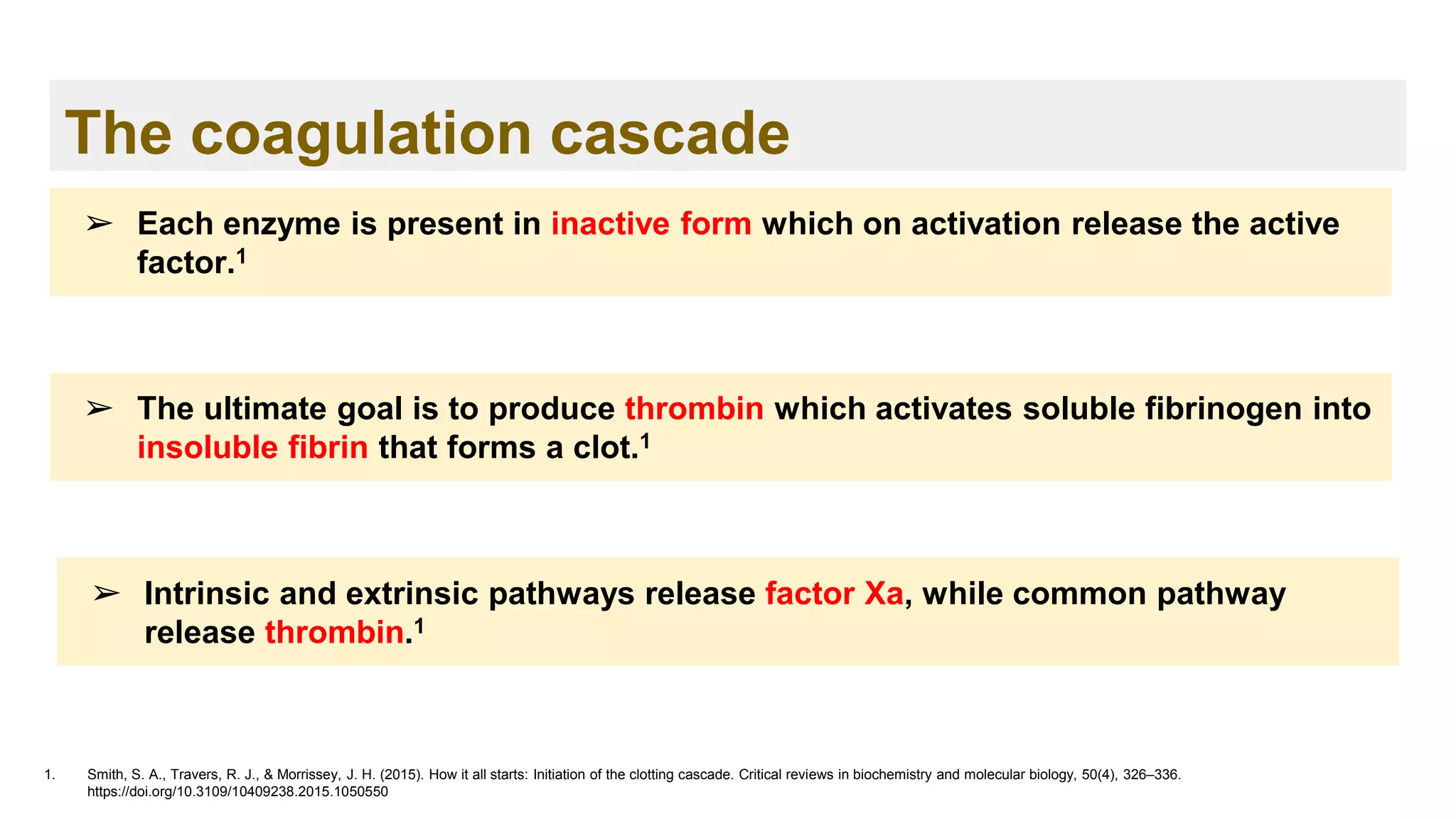The coagulation cascade
1. Smith, S. A., Travers, R. J., & Morrissey, J. H. (2015). How it all starts: Initiation of the clotting cascade. Critical reviews in biochemistry and molecular biology, 50(4), 326–336.
https://doi.org/10.3109/10409238.2015.1050550
➢ Each enzyme is present in inactive form which on activation release the active
factor.1
➢ The ultimate goal is to produce thrombin which activates soluble fibrinogen into
insoluble fibrin that forms a clot.1
➢ Intrinsic and extrinsic pathways release factor Xa, while common pathway
release thrombin.1
 