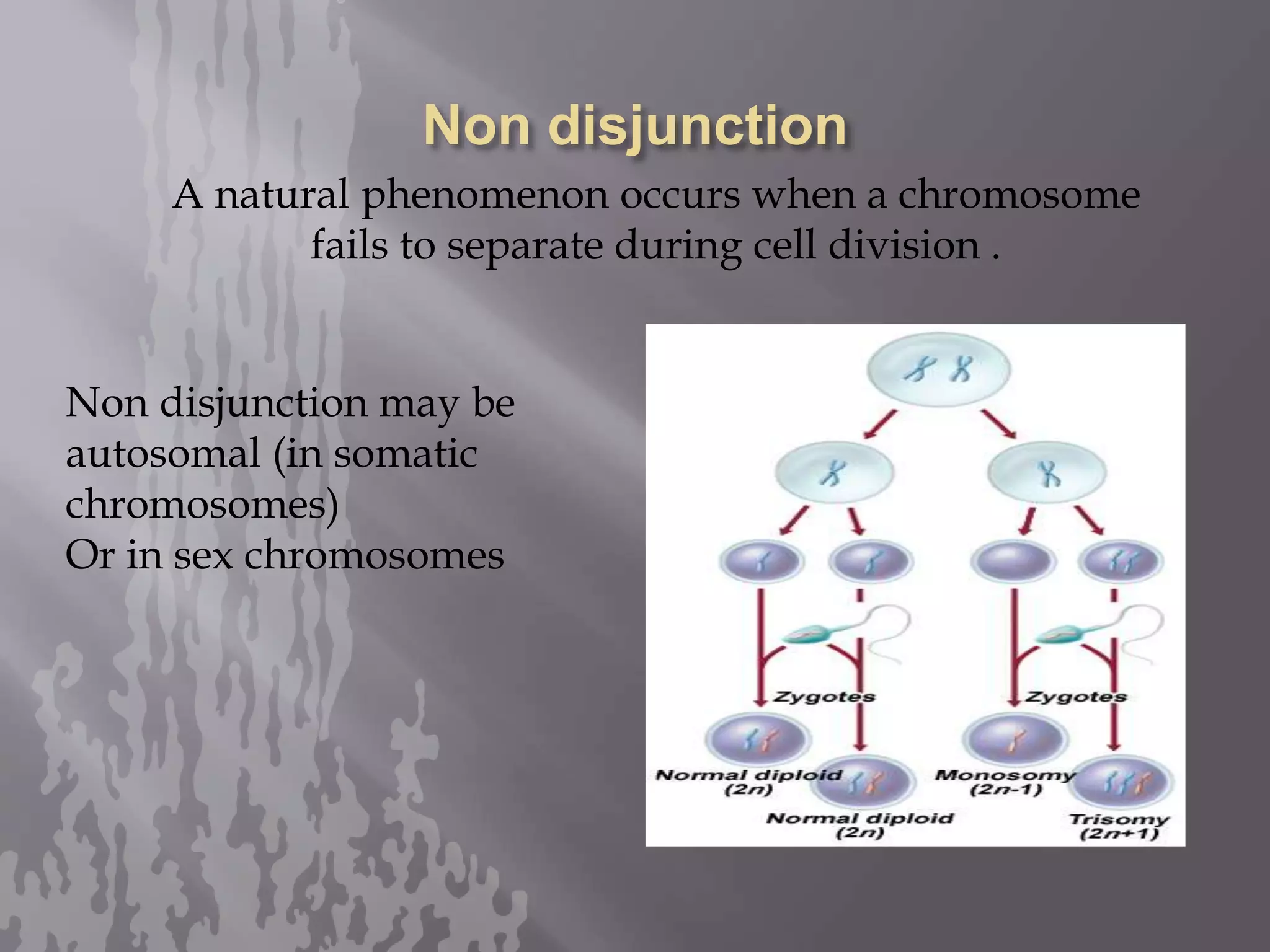 basic patterns of inheritance biology pptx | PPT