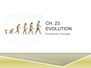 Ch. 23: Evolution Evolutionary Changes 