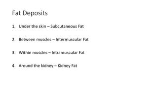 Fat Deposits
1. Under the skin – Subcutaneous Fat
2. Between muscles – Intermuscular Fat
3. Within muscles – Intramuscular Fat
4. Around the kidney – Kidney Fat
 