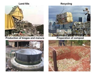 Land fills Recycling
Production of biogas and manure Preparation of compost
 