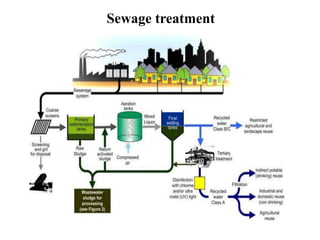 Sewage treatment
 