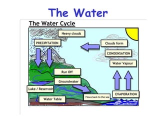 The Water
Cycle
 