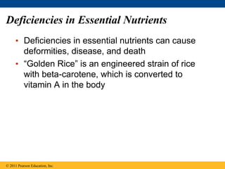 Deficiencies in Essential Nutrients
• Deficiencies in essential nutrients can cause
deformities, disease, and death
• “Golden Rice” is an engineered strain of rice
with beta-carotene, which is converted to
vitamin A in the body
© 2011 Pearson Education, Inc.
 