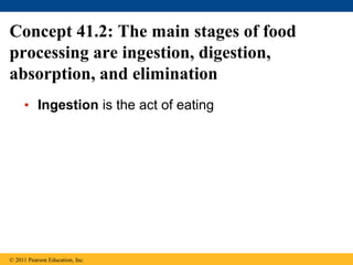 Concept 41.2: The main stages of food
processing are ingestion, digestion,
absorption, and elimination
• Ingestion is the act of eating
© 2011 Pearson Education, Inc.
 