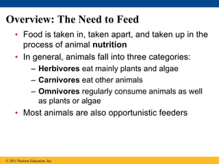 • Food is taken in, taken apart, and taken up in the
process of animal nutrition
• In general, animals fall into three categories:
– Herbivores eat mainly plants and algae
– Carnivores eat other animals
– Omnivores regularly consume animals as well
as plants or algae
• Most animals are also opportunistic feeders
© 2011 Pearson Education, Inc.
Overview: The Need to Feed
 