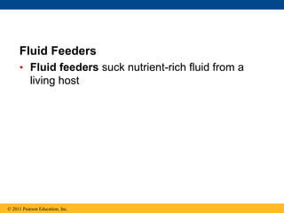 Fluid Feeders
• Fluid feeders suck nutrient-rich fluid from a
living host
© 2011 Pearson Education, Inc.
 