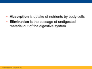 • Absorption is uptake of nutrients by body cells
• Elimination is the passage of undigested
material out of the digestive system
© 2011 Pearson Education, Inc.
 