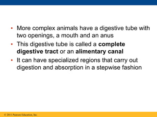 • More complex animals have a digestive tube with
two openings, a mouth and an anus
• This digestive tube is called a complete
digestive tract or an alimentary canal
• It can have specialized regions that carry out
digestion and absorption in a stepwise fashion
© 2011 Pearson Education, Inc.
 
