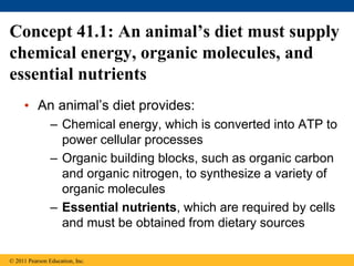 Concept 41.1: An animal’s diet must supply
chemical energy, organic molecules, and
essential nutrients
• An animal’s diet provides:
– Chemical energy, which is converted into ATP to
power cellular processes
– Organic building blocks, such as organic carbon
and organic nitrogen, to synthesize a variety of
organic molecules
– Essential nutrients, which are required by cells
and must be obtained from dietary sources
© 2011 Pearson Education, Inc.
 
