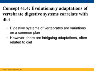 Concept 41.4: Evolutionary adaptations of
vertebrate digestive systems correlate with
diet
• Digestive systems of vertebrates are variations
on a common plan
• However, there are intriguing adaptations, often
related to diet
© 2011 Pearson Education, Inc.
 