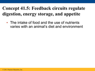 Concept 41.5: Feedback circuits regulate
digestion, energy storage, and appetite
• The intake of food and the use of nutrients
varies with an animal’s diet and environment
© 2011 Pearson Education, Inc.
 