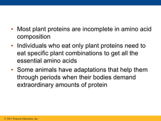 • Most plant proteins are incomplete in amino acid
composition
• Individuals who eat only plant proteins need to
eat specific plant combinations to get all the
essential amino acids
• Some animals have adaptations that help them
through periods when their bodies demand
extraordinary amounts of protein
© 2011 Pearson Education, Inc.
 