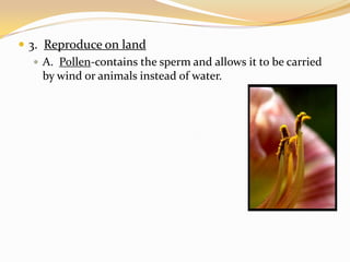 3.  Reproduce on land A.  Pollen-contains the sperm and allows it to be carried by wind or animals instead of water.