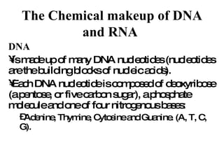 The Chemical makeup of DNA and RNA   ,[object Object],[object Object],[object Object],[object Object]