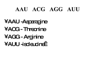 AAU  ACG  AGG  AUU AAU -Asparagine  ACG - Threonine  AGG - Arginine  AUU -isoleucine    