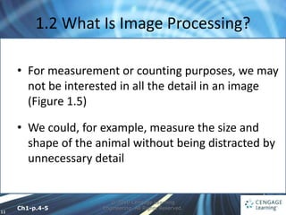 11
1.2 What Is Image Processing?
© 2010 Cengage Learning
Engineering. All Rights Reserved.
• For measurement or counting purposes, we may
not be interested in all the detail in an image
(Figure 1.5)
• We could, for example, measure the size and
shape of the animal without being distracted by
unnecessary detail
Ch1-p.4-5
 