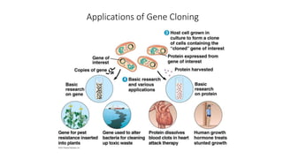 Applications of Gene Cloning
 