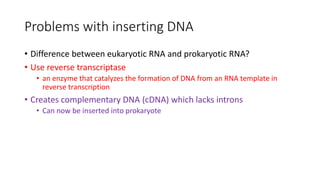 Problems with inserting DNA
• Difference between eukaryotic RNA and prokaryotic RNA?
• Use reverse transcriptase
• an enzyme that catalyzes the formation of DNA from an RNA template in
reverse transcription
• Creates complementary DNA (cDNA) which lacks introns
• Can now be inserted into prokaryote
 