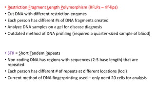 • Restriction Fragment Length Polymorphism (RFLPs – rif-lips)
• Cut DNA with different restriction enzymes
• Each person has different #s of DNA fragments created
• Analyze DNA samples on a gel for disease diagnosis
• Outdated method of DNA profiling (required a quarter-sized sample of blood)
• STR = Short Tandem Repeats
• Non-coding DNA has regions with sequences (2-5 base length) that are
repeated
• Each person has different # of repeats at different locations (loci)
• Current method of DNA fingerprinting used – only need 20 cells for analysis
 