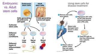 Embryonic
vs. Adult
stem cells
Using stem cells for
disease treatment
 