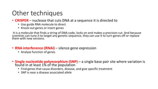 Other techniques
• CRISPER – nuclease that cuts DNA at a sequence it is directed to
• Use guide RNA molecule to direct
• Knock-out genes or insert genes
It is a molecule that finds a string of DNA code, locks on and makes a precision cut. And because
scientists can tune it to target any genetic sequence, they can use it to turn genes off or replace
them with new versions.
• RNA interference (RNAi) – silence gene expression
• Analyze function of genes
• Single nucleotide polymorphism (SNP) – a single base pair site where variation is
found in at least 1% of the population
• Find genes that cause disorders, disease, and give specific treatment
• SNP is near a disease associated allele
 