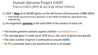Human Genome Project (HGP)
Francis Collins (NIH) & Jay Craig Ventor (Celera)
1.) HGP = Map of all 30,000 genes on the 46 human chromosomes (1988-2003)
• Information has led to many advances in the fields of medicine, agriculture, bio-
engineering
2.) An organism’s genome is the total DNA in the nucleus of each cell
• The human genome contains approx 3 billion nucleotide bases
• The average gene is made up of 3000 bases, but sizes of genes vary greatly.
• The total number of genes is estimated at around 30000.
• 99.9% nucleotide bases are exactly the same in all people
 