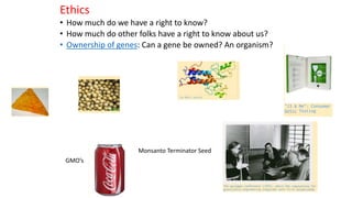 Ethics
• How much do we have a right to know?
• How much do other folks have a right to know about us?
• Ownership of genes: Can a gene be owned? An organism?
GMO’s
Monsanto Terminator Seed
 