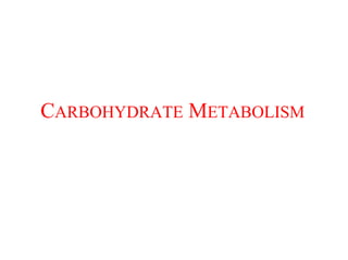 CARBOHYDRATE METABOLISM
 