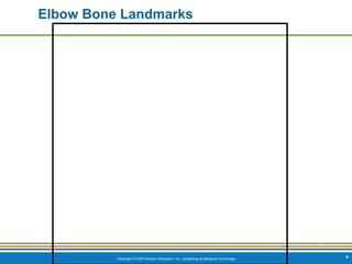 Copyright © 2009 Pearson Education, Inc., publishing as Benjamin Cummings
*
Elbow Bone Landmarks
*
 