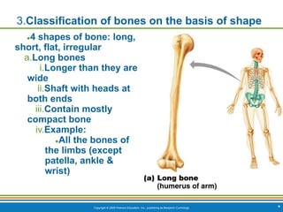 Copyright © 2009 Pearson Education, Inc., publishing as Benjamin Cummings *
3.Classification of bones on the basis of shape
●4 shapes of bone: long,
short, flat, irregular
a.Long bones
i.Longer than they are
wide
ii.Shaft with heads at
both ends
iii.Contain mostly
compact bone
iv.Example:
●All the bones of
the limbs (except
patella, ankle &
wrist)
 
