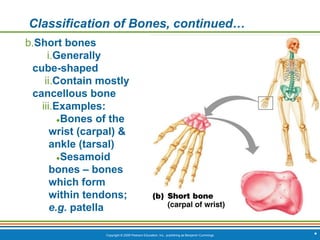Copyright © 2009 Pearson Education, Inc., publishing as Benjamin Cummings *
Classification of Bones, continued…
b.Short bones
i.Generally
cube-shaped
ii.Contain mostly
cancellous bone
iii.Examples:
●Bones of the
wrist (carpal) &
ankle (tarsal)
●Sesamoid
bones – bones
which form
within tendons;
e.g. patella
 