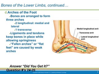 Copyright © 2009 Pearson Education, Inc., publishing as Benjamin Cummings *
d.Arches of the Foot
●Bones are arranged to form
three arches
●2 longitudinal: medial and
lateral
●1 transverse
●Ligaments and tendons
keep bones in place while
allowing springiness
●“Fallen arches” or “flat
feet” are caused by weak
arches
Answer “Did You Get It?”
Question #’s 24-26
Bones of the Lower Limbs, continued…
 