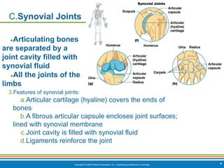Copyright © 2009 Pearson Education, Inc., publishing as Benjamin Cummings *
C.Synovial Joints
●Articulating bones
are separated by a
joint cavity filled with
synovial fluid
●All the joints of the
limbs
3.Features of synovial joints:
a.Articular cartilage (hyaline) covers the ends of
bones
b.A fibrous articular capsule encloses joint surfaces;
lined with synovial membrane
c.Joint cavity is filled with synovial fluid
d.Ligaments reinforce the joint
 