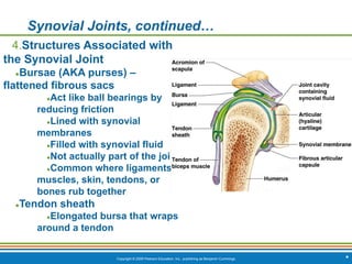 Copyright © 2009 Pearson Education, Inc., publishing as Benjamin Cummings *
Synovial Joints, continued…
4.Structures Associated with
the Synovial Joint
●Bursae (AKA purses) –
flattened fibrous sacs
●Act like ball bearings by
reducing friction
●Lined with synovial
membranes
●Filled with synovial fluid
●Not actually part of the joint
●Common where ligaments,
muscles, skin, tendons, or
bones rub together
●Tendon sheath
●Elongated bursa that wraps
around a tendon
 