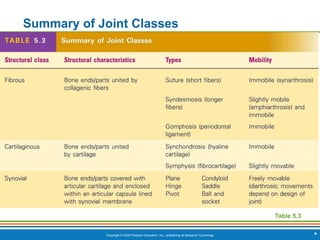 Copyright © 2009 Pearson Education, Inc., publishing as Benjamin Cummings *
Summary of Joint Classes
[Insert Table 5.3 here]
Table 5.3
 