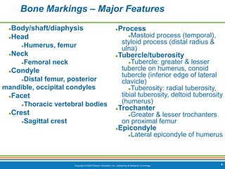 Copyright © 2009 Pearson Education, Inc., publishing as Benjamin Cummings *
Bone Markings – Major Features
●Body/shaft/diaphysis
●Head
●Humerus, femur
●Neck
●Femoral neck
●Condyle
●Distal femur, posterior
mandible, occipital condyles
●Facet
●Thoracic vertebral bodies
●Crest
●Sagittal crest
●Process
●Mastoid process (temporal),
styloid process (distal radius &
ulna)
●Tubercle/tuberosity
●Tubercle: greater & lesser
tubercle on humerus, conoid
tubercle (inferior edge of lateral
clavicle)
●Tuberosity: radial tuberosity,
tibial tuberosity, deltoid tuberosity
(humerus)
●Trochanter
●Greater & lesser trochanters
on proximal femur
●Epicondyle
●Lateral epicondyle of humerus
 