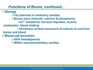 Copyright © 2009 Pearson Education, Inc., publishing as Benjamin Cummings *
Functions of Bones, continued…
4.Storage
a.Fat (marrow) in medullary cavities
b.Bones store minerals: calcium & phosphorus
i.Ca2+
needed for nervous impulses, muscle
contraction, blood clotting
ii.Hormones control movement of calcium to and from
bones and blood
5.Blood cell formation
a.AKA hematopoesis
b.Within marrow/medullary cavities
 
